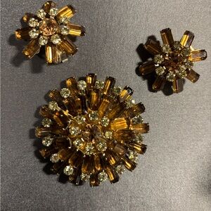 Elegant Gold and Brown Jewelry Set